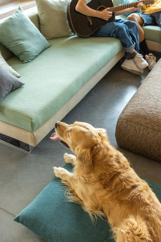 Choosing the Right Fabric for High-Traffic Areas